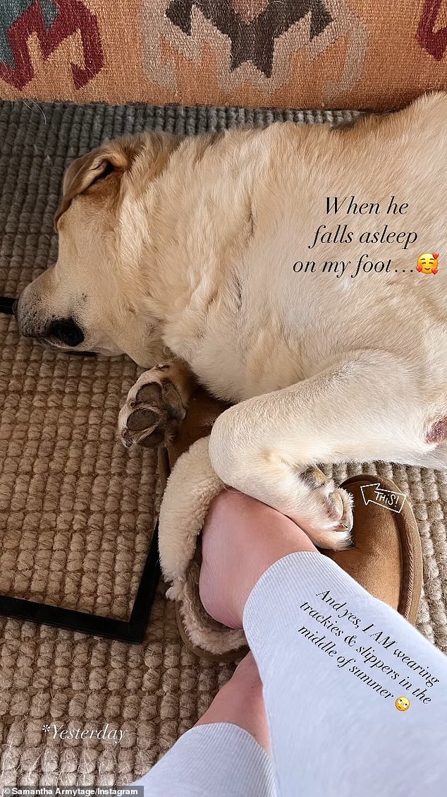 1674551278 596 Samantha Armytage Shares Adorable Photo With Her Beloved Dog Banjo