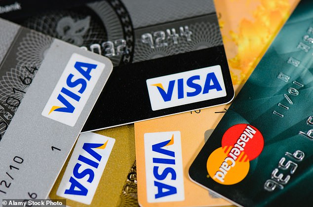 Lisa knew she had to stop looking for her credit card when she didn't have the money (file photo)