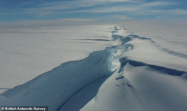 While this won't be the largest iceberg to split off from Antarctica, it’s the biggest chunk the ice shelf has lost since observations began over 100 years ago in 1915. Pictured: Chasm-1