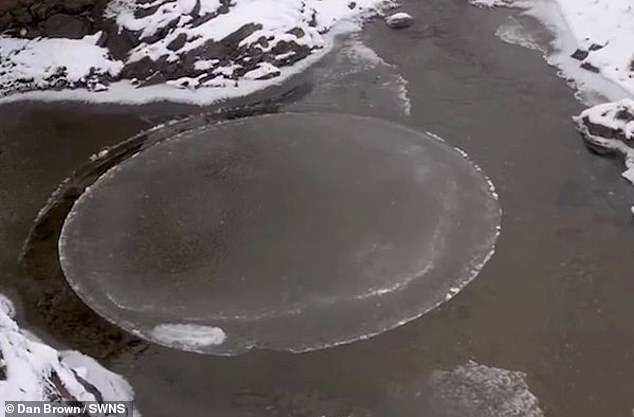 Ice pancakes can range in size from 7.8 inches (20cm) to 78 inches (200cm) wide, and are 'relatively rare', according to the Met Office