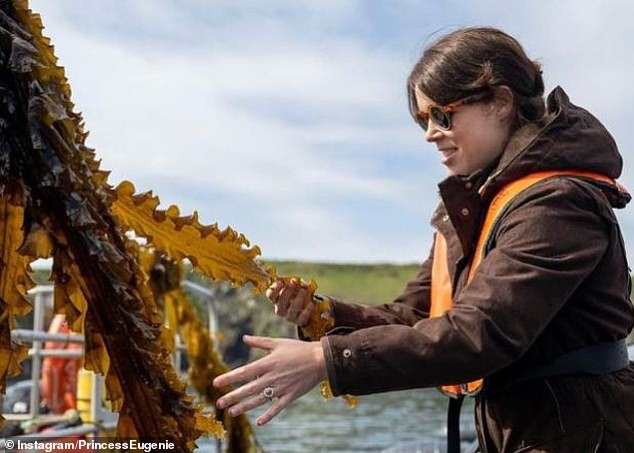 The Princess released a mini-series about ocean conservation last year (pictured as she visits a regenerative ocean farm in Wales)