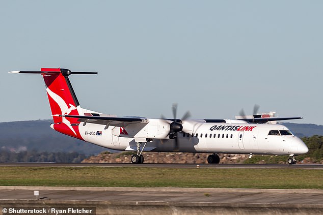 Qantas national chief executive Andrew David said the airline averaged around 60 returns a year out of 10,000 across the industry (a Qantas plane at Sydney airport pictured)