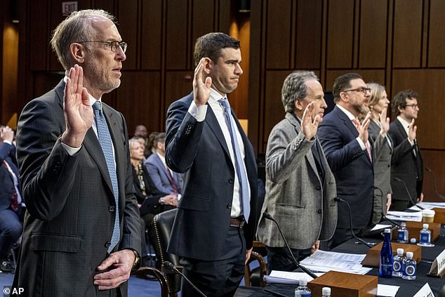 Witnesses Sworn In at Senate Judicial Hearing on Ticketmaster