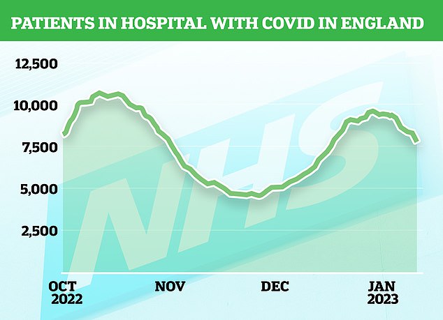 COVID: The number of people infected with Covid taking up hospital beds in England fell 11 per cent from 9,414 in the week to January 4 to 8,404 in the seven days to January 11. NHS data shows the figure peaked at 9,533 on December 29 and has since fallen 19 per cent to 7,743