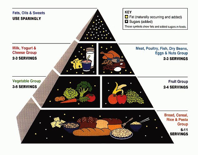 The USDA released the Food Pyramid in 1991 and has since been partly blamed for the sharp rise in obesity in the United States.  Critics say it provides poor recommendations that aren't based on science, and that its high recommended levels of grains and starches helped make many people overweight