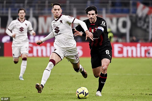 Fulham are also in talks over a deal for Torino midfielder Sasa Lukic, left, as Marco Silva looks to strengthen his in-form side.