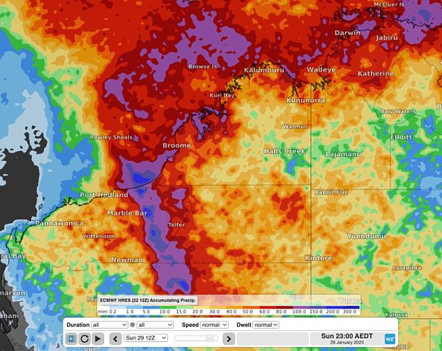 Cyclone Freddy (above) could form off the WA coast with wind gusts of up to 125 km/h and heavy rainfall