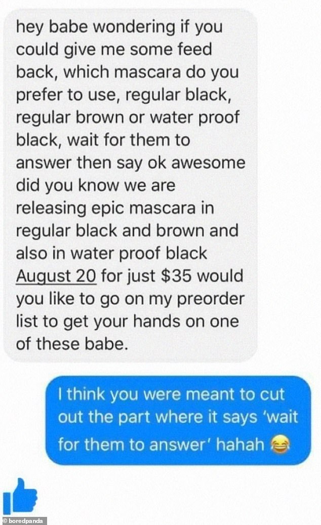 A person in the US who was selling makeup through Facebook Messenger forgot to pull out the guidelines that came with the template message he was supposed to send.