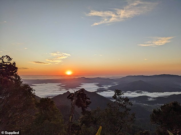 Pictured is the view from 'stunningly beautiful' Mount Warning in northern New South Wales.