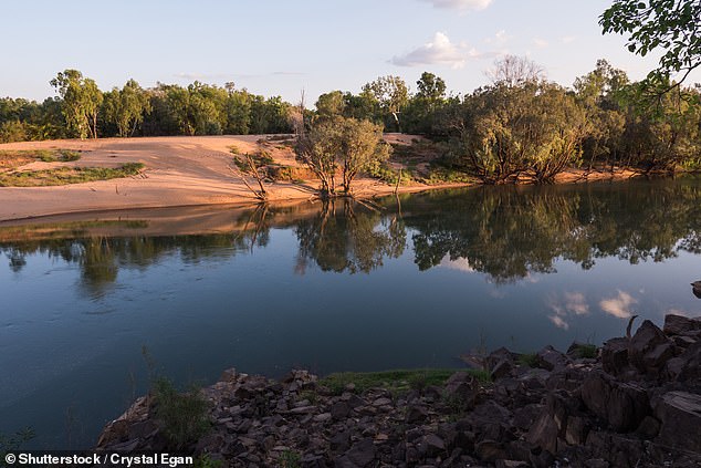 The remote Daly River in the Northern Territory (pictured) where man collected crocodile eggs