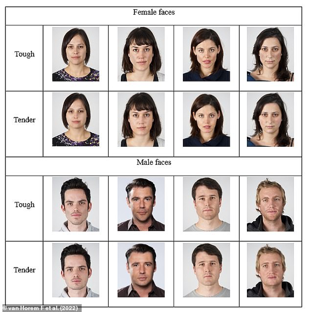 For the first study, participants were presented with four different male or female faces that had been digitally altered to appear tougher or cuter (pictured).  They then had to rate them based on their attractiveness, likeability, and how much they would like to go on a date with them.