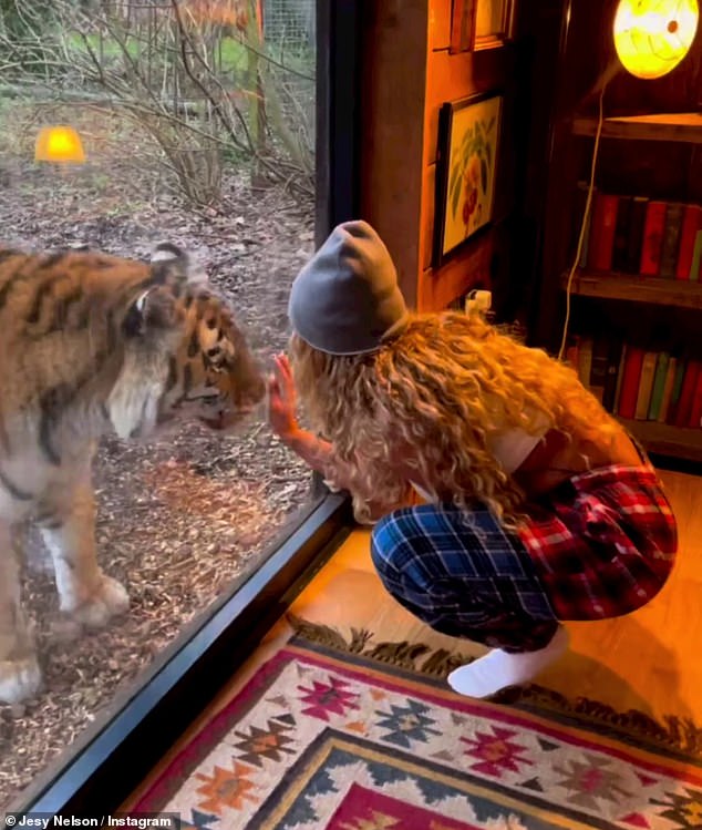 The singer put her hand on the glass as the animal approached.