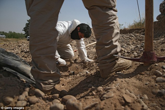 An Iraqi forensics team digs up bodies from a mass grave in the compound of former President Saddam Hussein's palace April 9, 2015 in Tikrit, Iraq.