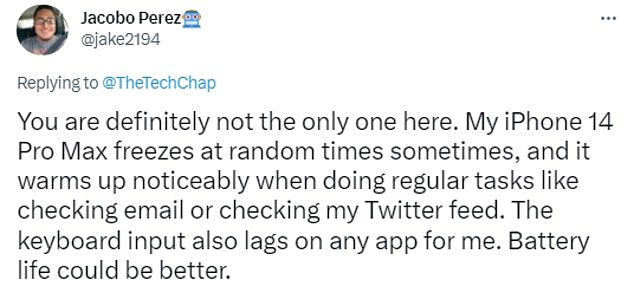 Users are in an uproar about the freezing bug. An expert told DailyMail.com that this issue may be caused by the iPhone being overloaded