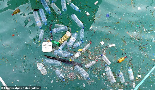 Single-use plastics make up around a third of all Victoria's litter on streets and waterways (pictured) and are a key part of the state's goal to divert 80 per cent of rubbish from landfill.