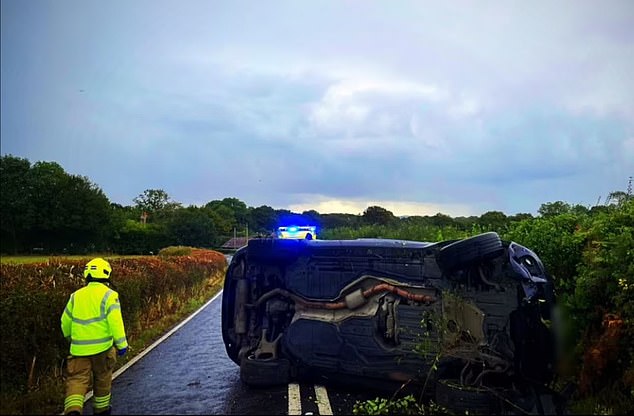 Horrible: She said there was 'no excuse' for crashing her BMW into the B2135 near Partridge Green in West Sussex while under the influence and disqualified