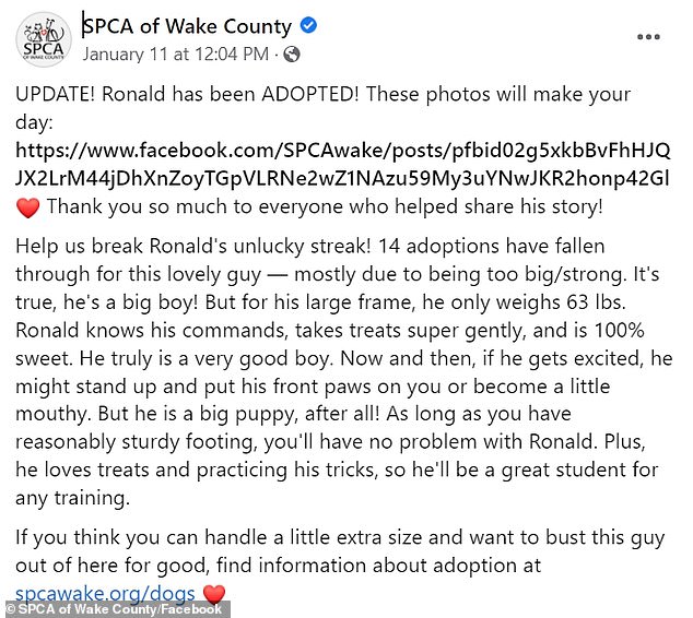 The Wake County SPCA took to Facebook on January 11 to share Ronald's story along with photos of the sweet pup.