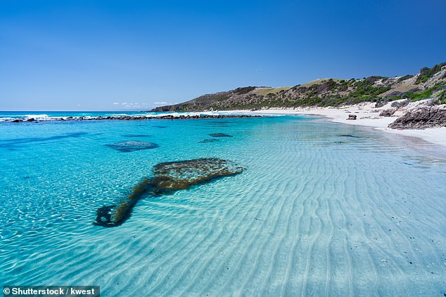 The beach (pictured) is promoted by locals as the 