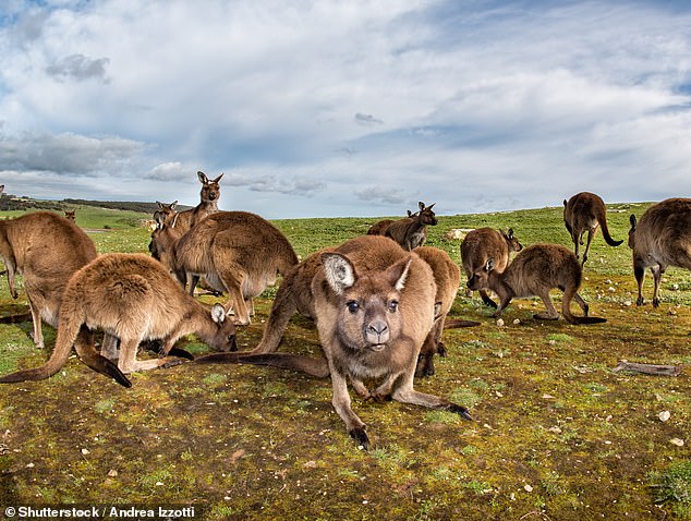 1674880783 145 Australias 10 best beaches named in annual Tourism Australia list