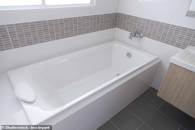 The Maxwell family say the bathtub was too small for the Duke and Mrs Giuffre to engage in sexual activity (file image)