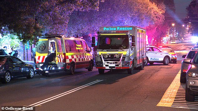 Images from the scene show several police vehicles and ambulances (pictured)