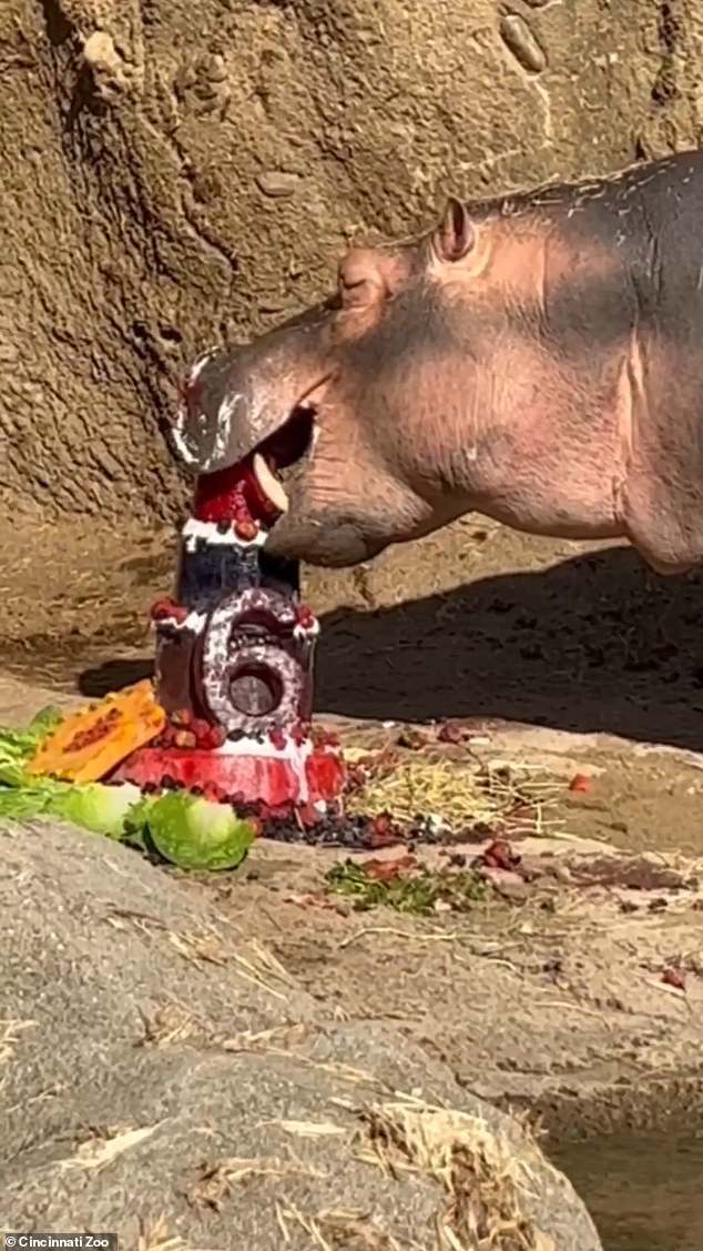 She starts on the outside with some pie dressing, before diving in and devouring the rest as onlookers chant. 