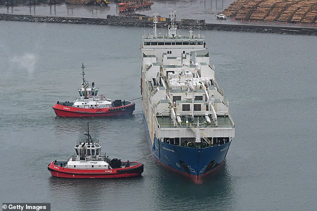 The Yangtze Fortune has been stranded off the coast of Victoria for months.