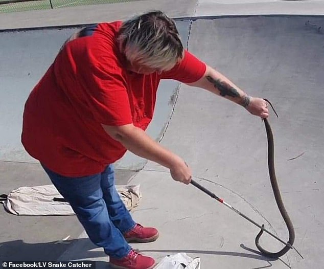 Summer is a busy time for snake catchers like Liza Van Gelder (pictured)