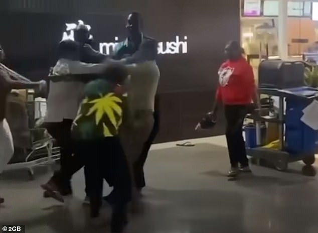 The outbreak of lawlessness in Alice Springs, as illustrated by this fight outside a supermarket, has become a national hot topic.