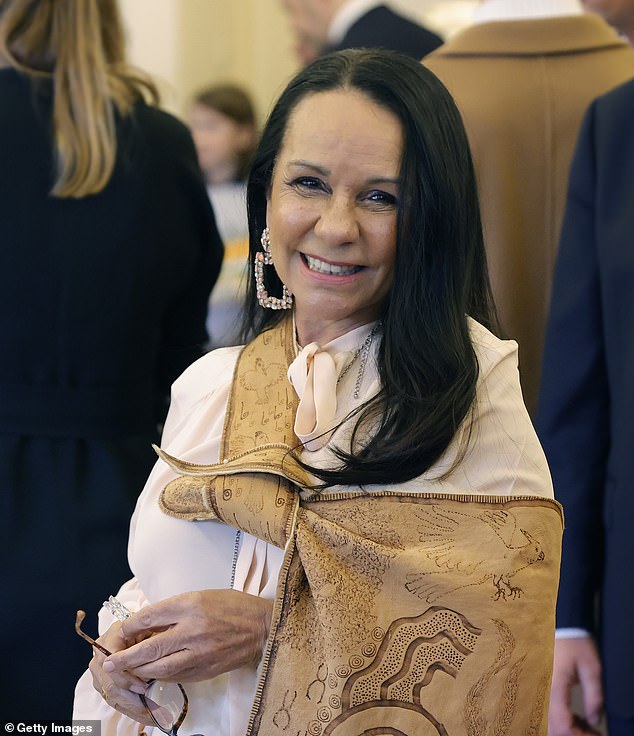 Littleproud said Indian Affairs Minister Linda Burney (pictured) was warned in June not to lift bans on alcohol.