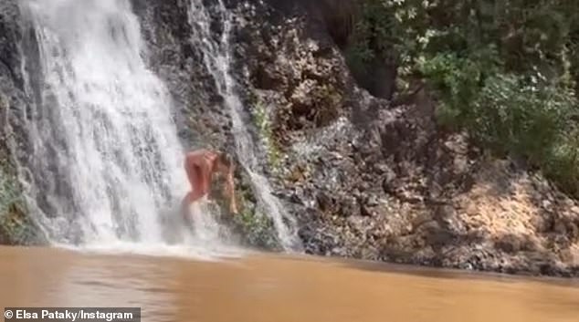 She dove into the idyllic swimming hole in the bushes.