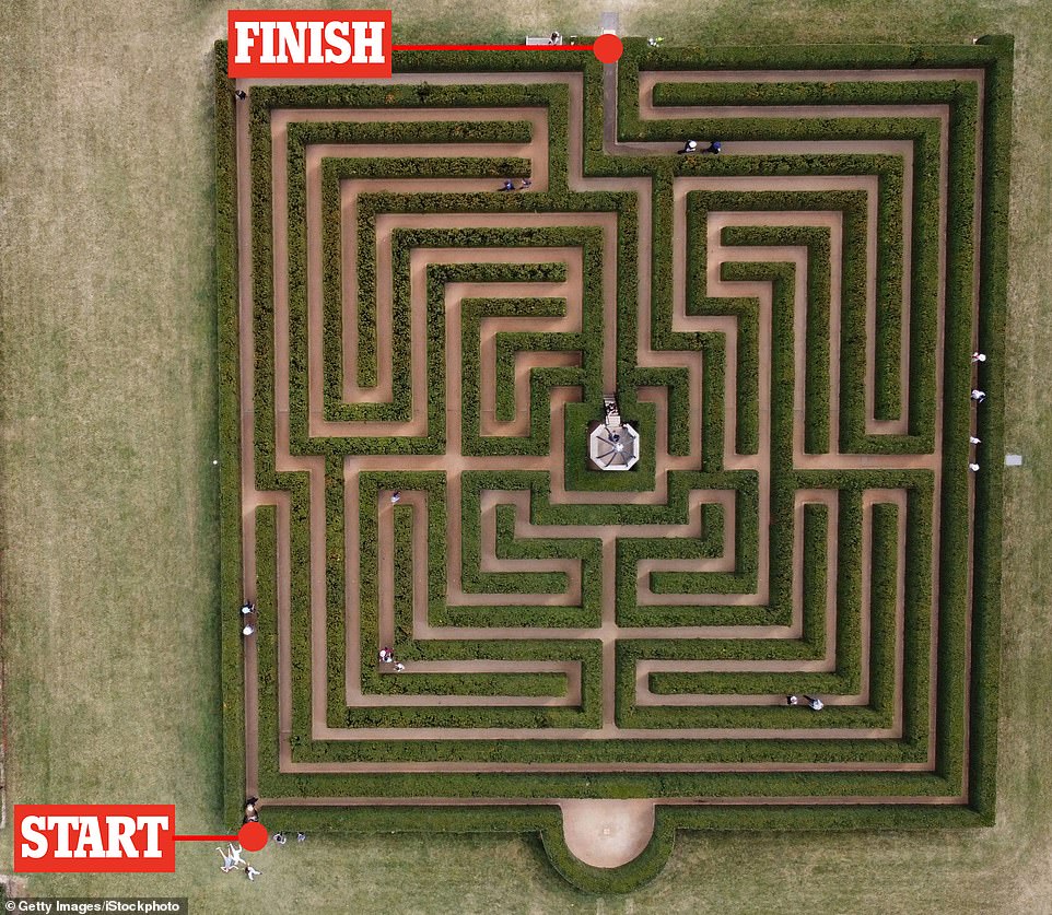 Mazes have fascinated people since the first mazes were invented thousands of years ago, and have since had starring roles in movies like The Shining, Labyrinth, and Harry Potter and the Goblet of Fire.