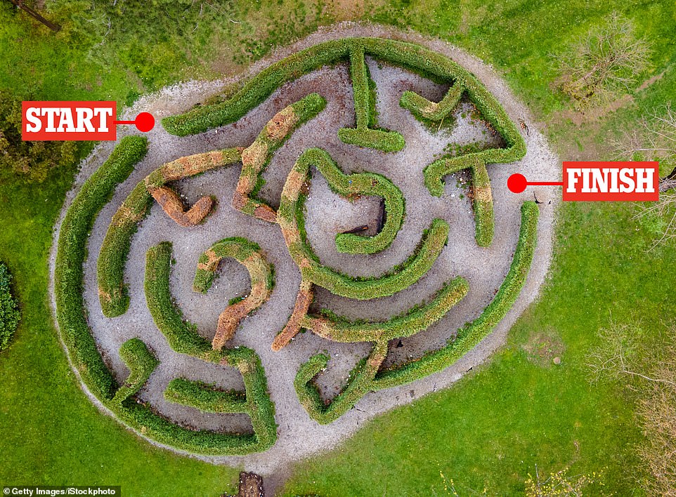 With their network of paths, junctions, and dead ends, mazes have fascinated people since the first mazes were invented thousands of years ago.