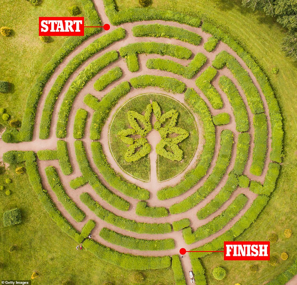 Unlike a maze, which requires you to choose which of many different paths you will take, a maze has only one path, yet it is winding and complex.  In the picture: labyrinth in one of the parks of the city of Kyiv