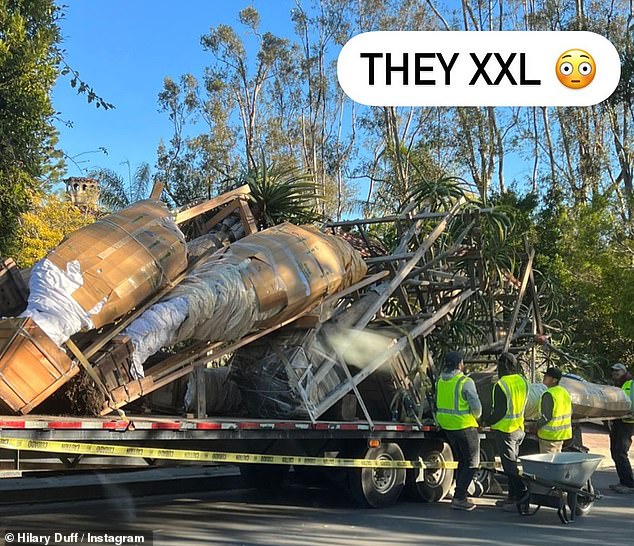 XXL: The former teen idol shared a stunning image of a giant truck loaded with her trees, writing, 'They XXL'