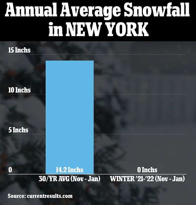 1675021739 617 NYC breaks record for longest snow free season as Big Apple