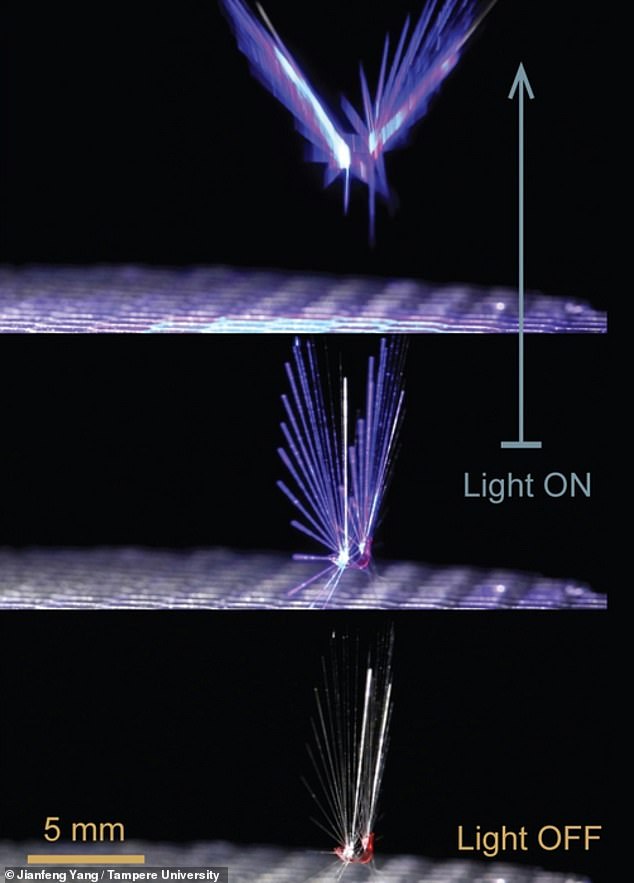 In dark and low wind settings, the FAIRY stays still. When there is enough light, the structure opens its wings automatically allowing flying in the wind flow