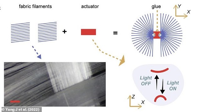 The FAIRY's actuator converts light energy into kinetic energy, moving the robot's wings and enabling it to change direction while flying or control its take-off an landing