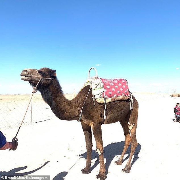 Leaving the ride: The day production wrapped, Brandi shared a photo of a camel, apparently taken during her ride, and in the caption, she wrote 