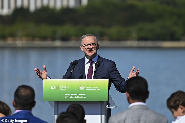 Prime Minister Anthony Albanese (pictured) described the voice as a 