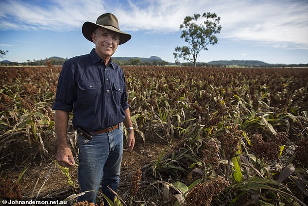 Former Nationals leader John Anderson (pictured) has joined the official committee opposing the Indigenous Voice in parliament.