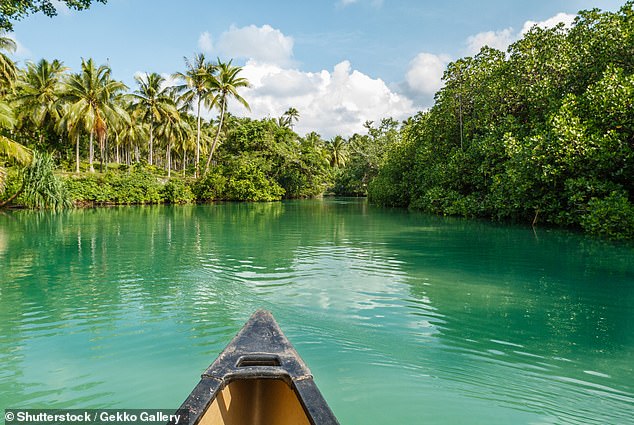 Virgin Australia's Bring on 2023 sale includes $539 round-trip flights between Melbourne and Vanuatu (pictured)