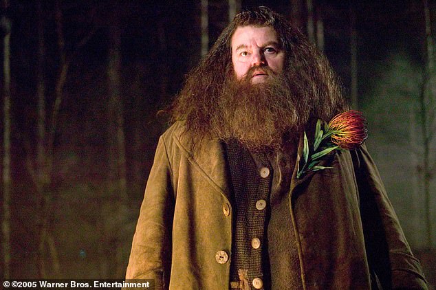 Playing the part: Robbie was known for playing the half-giant, half-human Hogwarts ranger Rubeus Hagrid in the film franchise.