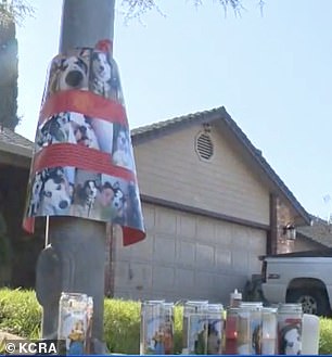 A memorial has been set up outside Enzo's home following the dog's untimely death.