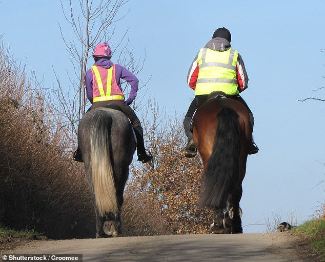 Parents often don’t allow their children to take up motorcycle riding, but enthusiastically let them attend the local pony club