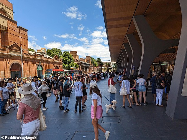 The lines are particularly crazy on weekends, sometimes stretching close to the length of Darling Square.