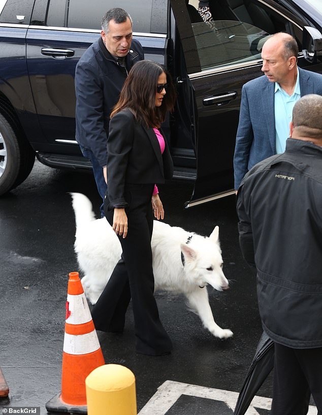 Part of his entourage: once appeased, the dog entered the study at his side.