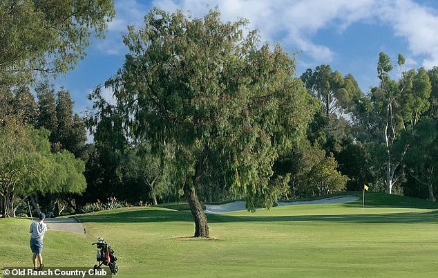 Stover provided drinks for golfers while they played on the golf courses, who would often grope her and ask her to lift up her shirt.