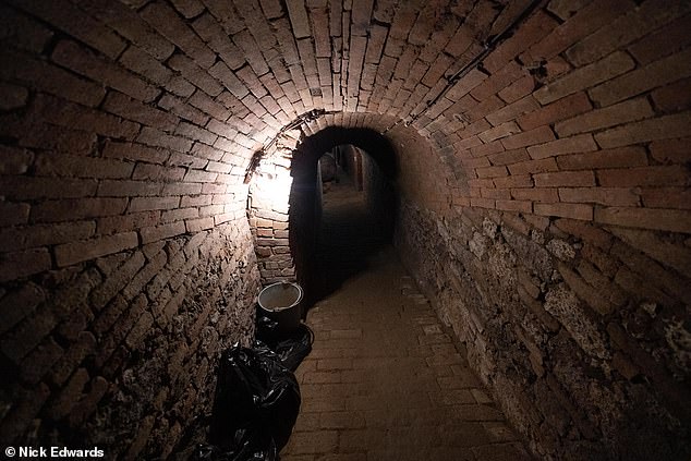 In an exclusive interview with MailOnline, Mr Landon said: ' Do you know we had police here with guns and a battering ram to get access to my property?' Pictured: An underground tunnel is seen inside his property in Obritz, 60 miles north of the Austrian capital Vienna and close to the country's border with the Czech Republic