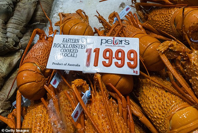 It comes as rock lobsters made a killing in the Chinese market, as the country exported nearly $400 million worth of Australian shellfish to China, including crustacean delicacy between 2020 and 2021 (Pictured, lobsters for sale in the Sydney fish market in December last year)